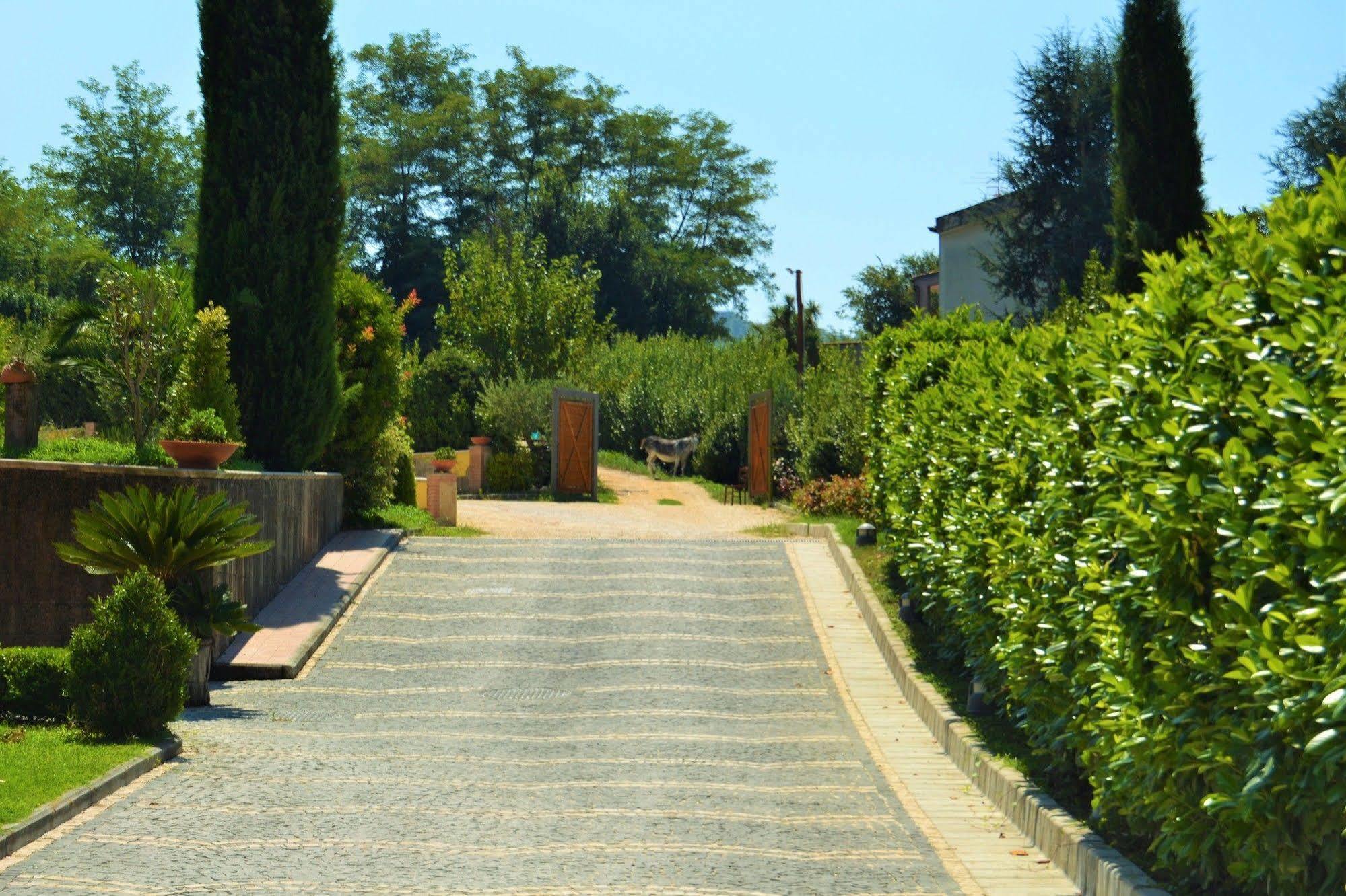 Agriturismo San Martino Поццуоли Экстерьер фото